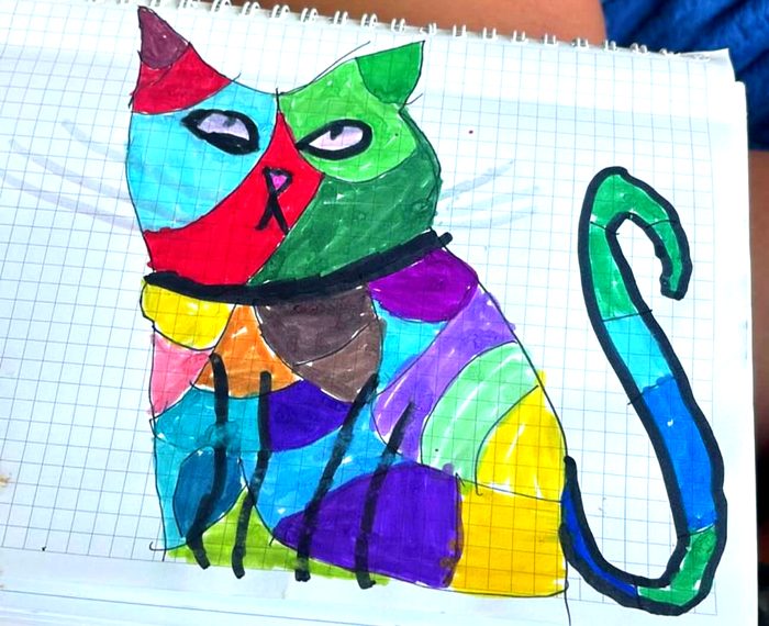 Pisica curcubeu 🌈